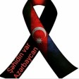 Sohret Memmedov - Sehidim 2020