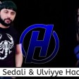 Tural Sedalı ft. Ülviyye Hacızade - Haralardasan (Elsen Pro _ Furkan Kılınç Remix)_128K).m4a