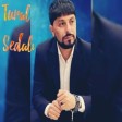 Tural Sedali - Hesret Bir Gun 2023 (Resmi Musiqi)_128K).m4a