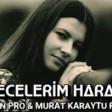 Elsen Pro & Murat Karaytu - Gecelerim Haram Turkce (YUKLE)