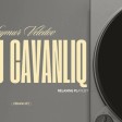 Seymur Veledov Ah bu cavanliq 2024 Original Mix yukle