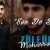 Zulfuqar Meherremov - Esq Serabi
