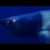 AKDO Lvbel C5-  Submariner mp3 indir